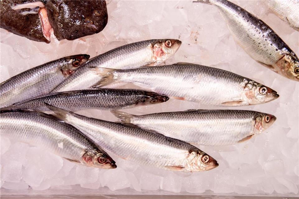 WWF-Marktcheck: Lediglich 27 Prozent der untersuchten Fischprodukte in deutschen Supermärkten schnitten als empfehlenswert ab.Zacharie Scheurer/dpa-tmn
