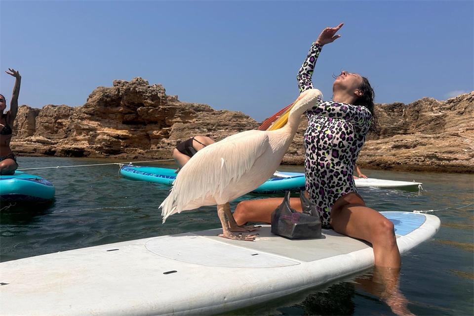 Während der Yoga-Stunde weicht „Pelikanchen“ nicht von der Seite von Lehrerin Alik Ohanian.Tony Issa/dpa