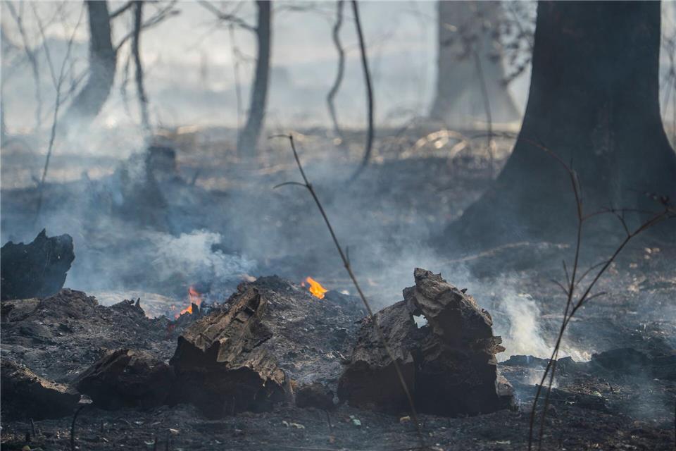 Während die Flammen auf bayerischer Seite gelöscht sind, laufen in Hessen noch die Nachlöscharbeiten. (Archivbild)Andreas Arnold/dpa