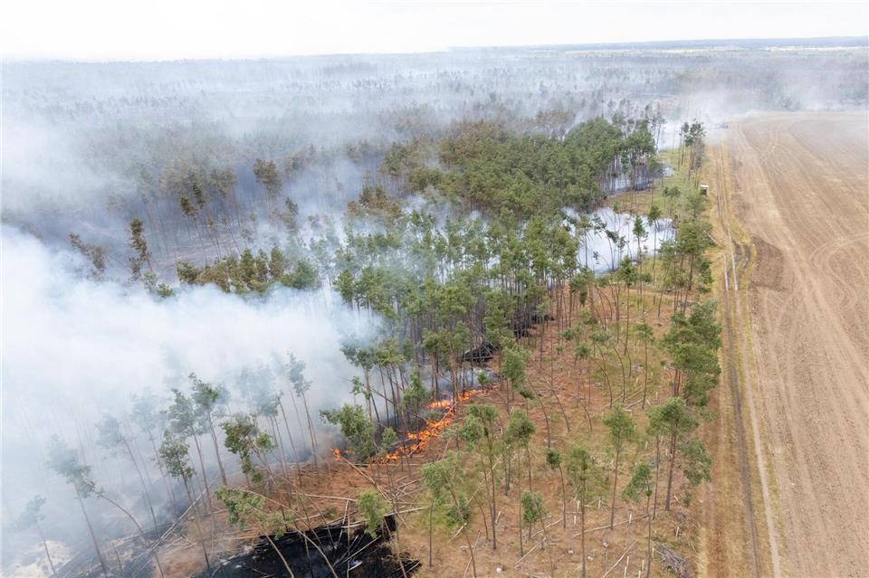 Wälder stehen unter anderem wegen Bränden und Borkenkäfer unter Druck. (Archivbild)Sebastian Kahnert/dpa