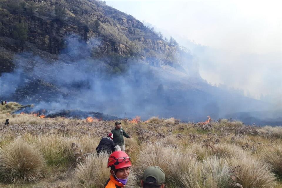 Waldbrände am Bromo sind in Dürrezeiten keine Seltenheit.-/BNPB/dpa