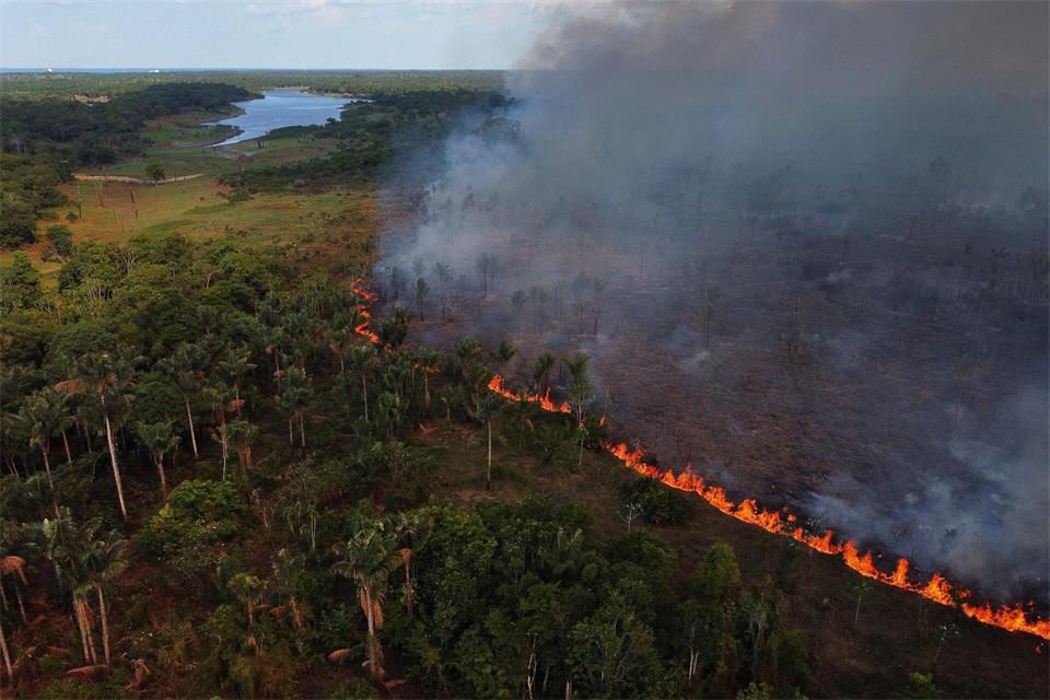 Waldbrände breiteten sich in der Nähe der Gemeinde Iranduba im brasilianischen Bundesstaat Amazonas aus.Edmar Barros/AP/dpa