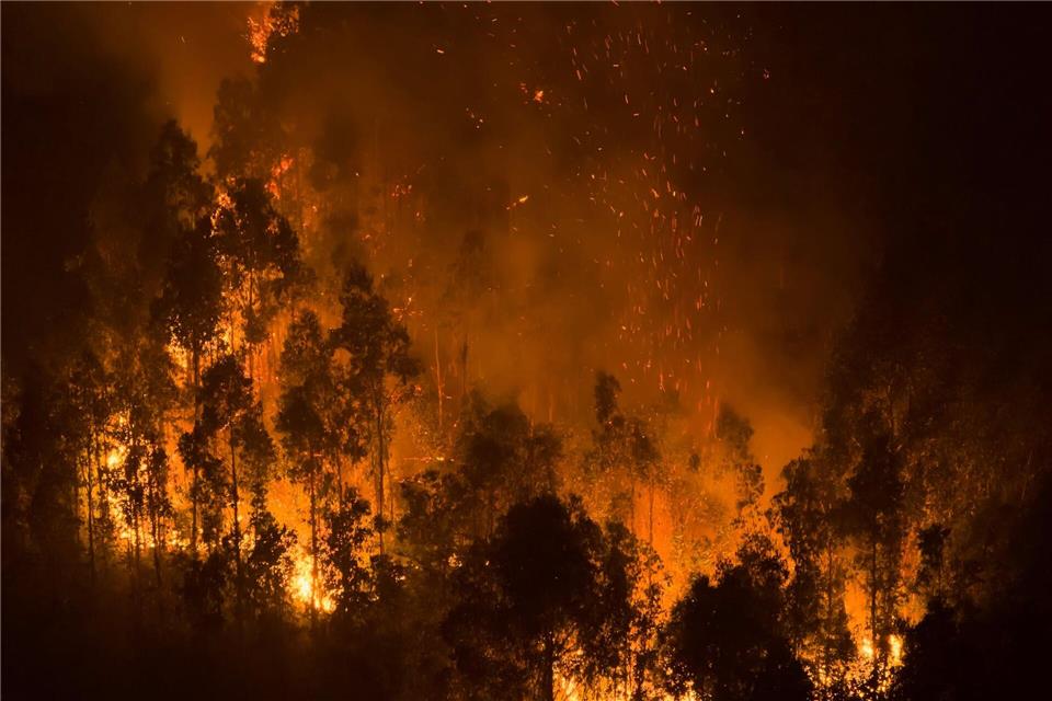 Waldbrände lodern in der Nähe von Concepcion in Chile.Javier Torres/AP/dpa