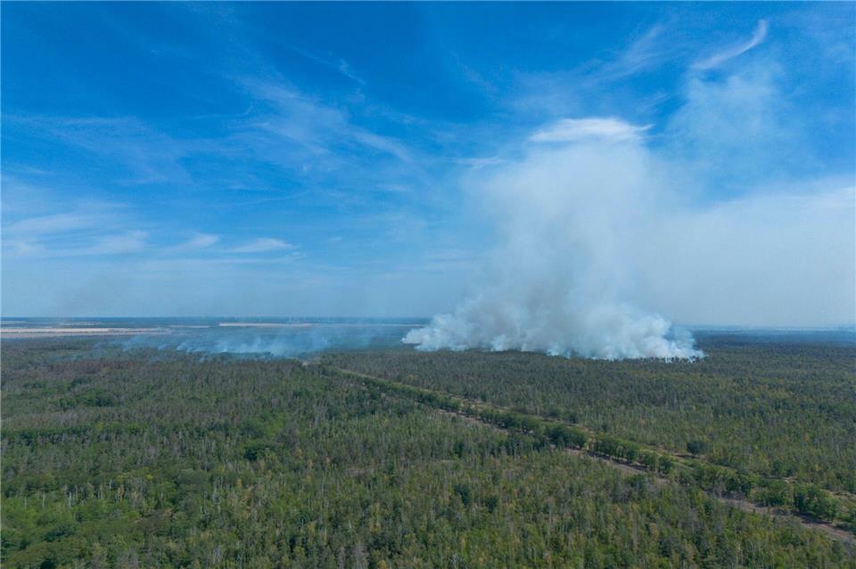 Waldbrand Gohrischheide – Hitze entzündet wohl Altmunition. (Archivbild)Daniel Wagner/dpa