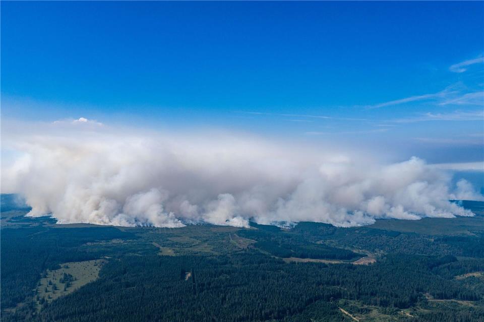 Waldbrand in Belgien: Gigantische Rauchwand über dem Hohen VennChristoph Reichwein/dpa
