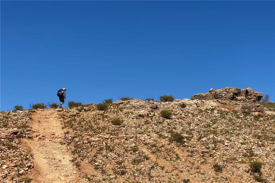 Wander-Guide Ian Vickers führt durch die von Spinifex-Süßgras gesprenkelte Canyon-Landschaft im Nationalpark.Stefan Weißenborn/dpa-tmn