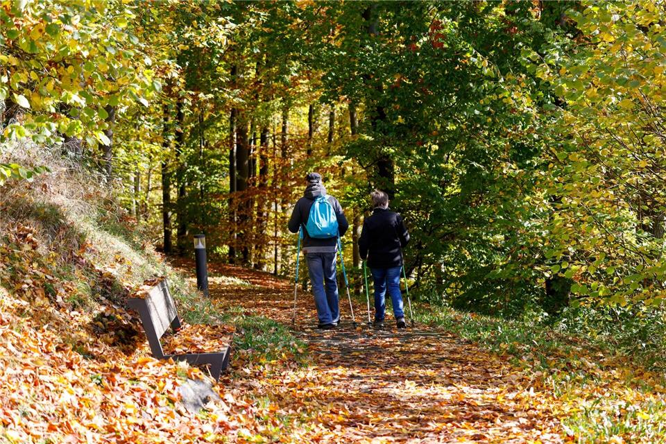 Sonne und milde Temperaturen in NRW Wandern am Hennesee im Sauerland.Thomas Banneyer/dpa