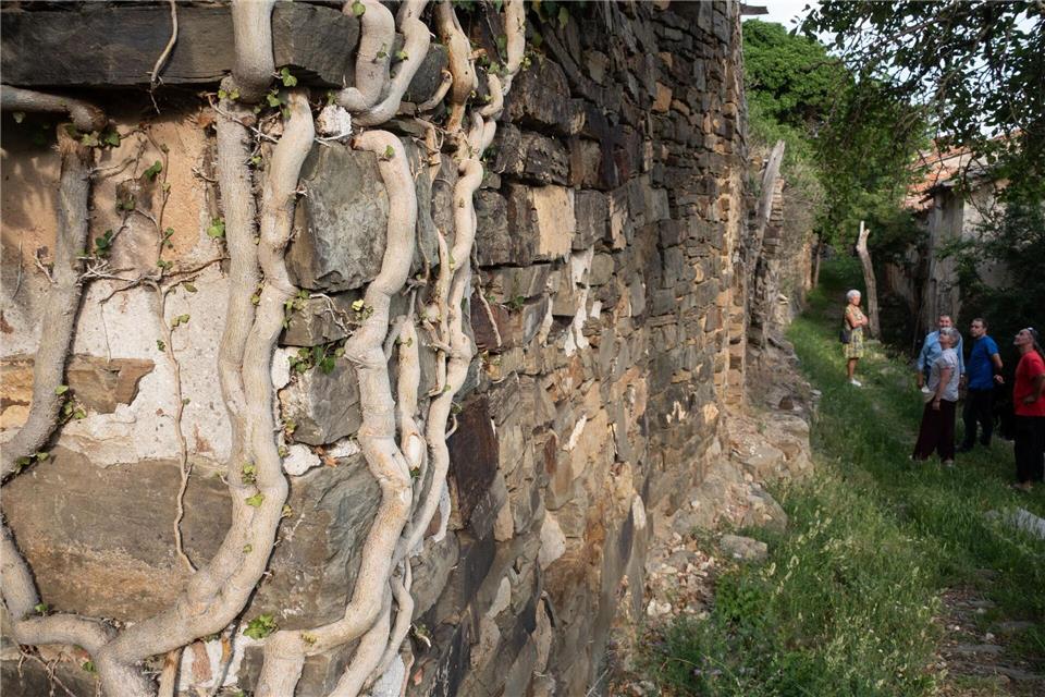 Wandern durch Ruinen: Besucher im Geisterdorf von San Vicente de Munilla.Andreas Drouve/dpa-tmn