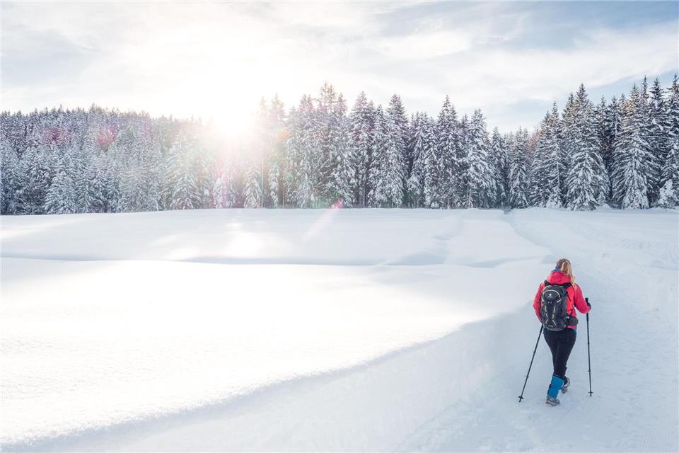 Wandern im Winter - das geht mit oder ohne Gepäcktransport. Melanie Klotz/TVB Seefeld/dpa-tmn