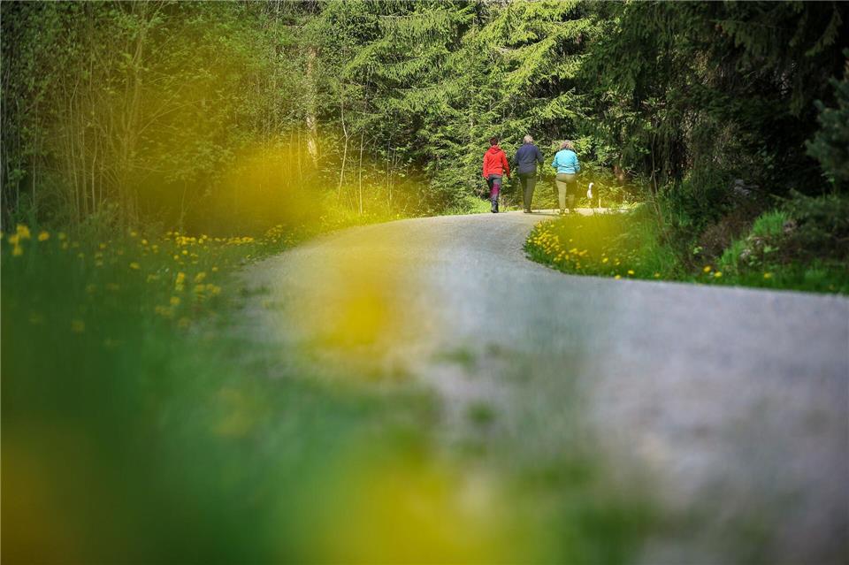 Wandern ist eine beliebte Freizeitbetätigung in der Natur: 2027 ist Reichenbach im Vogtland Gastgeber des Sächsischen Wandertages vom 25. bis 27. Juni. (Symbolbild)Jan Woitas/dpa
