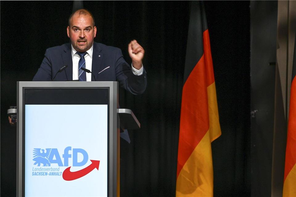 War im Dezember aus der AfD-Landtagsfraktion geflogen: Daniel Roi. (Archivbild)Heiko Rebsch/dpa