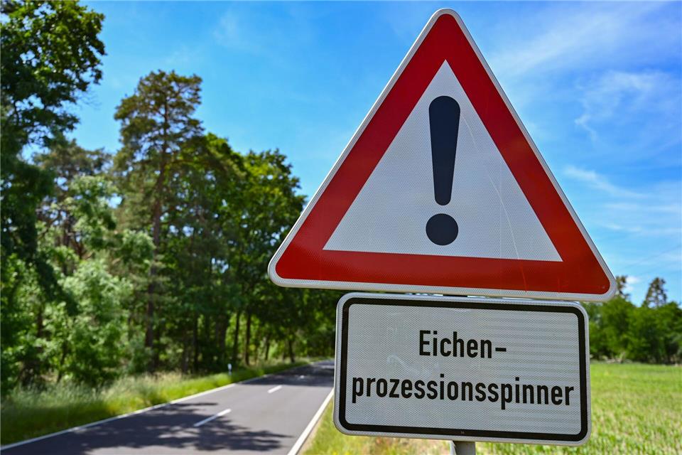 Warnung vor dem Eichenprozessionsspinner. (Archivbild)Patrick Pleul/dpa