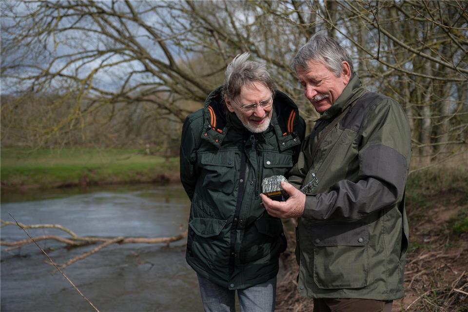 Warum werden weniger Otter gesichtet? (Archivbild) Oliver Dietze/dpa