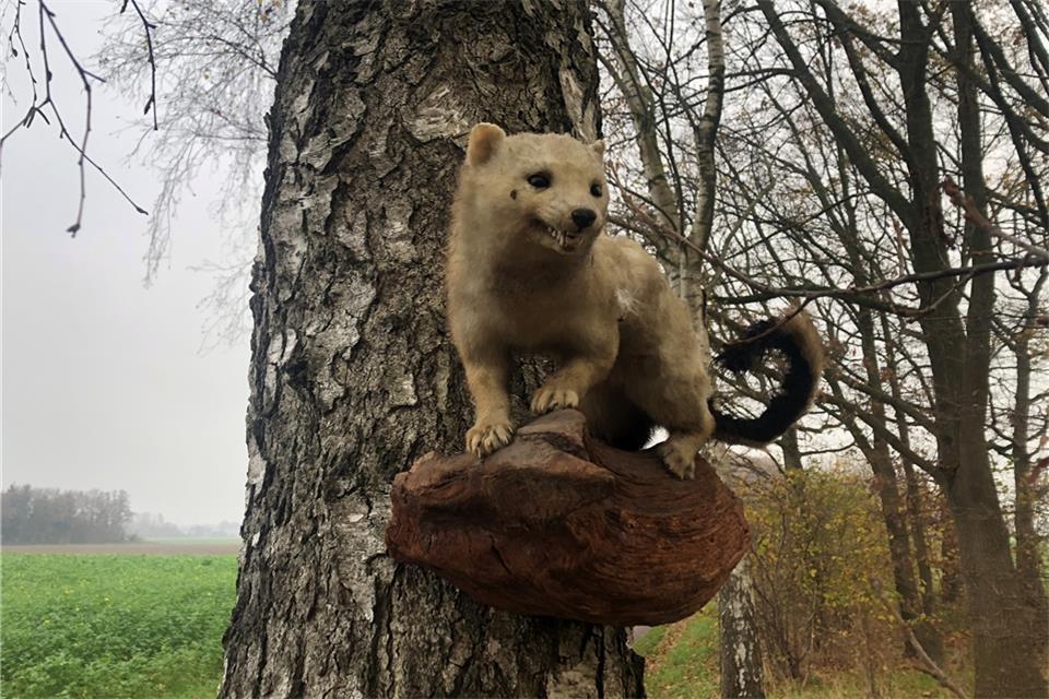 Was bedeuten diese Installationen? Ist es vielleicht eine Kunstaktion?