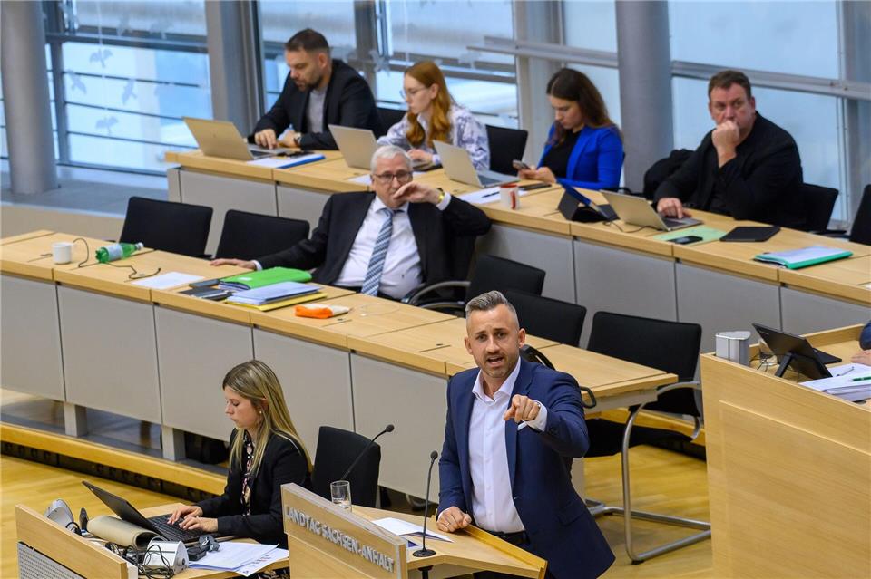 „Was einmal weg ist, kommt nicht mehr wieder“, sagt AfD-Co-Fraktionschef Ulrich Siegmund. Klaus-Dietmar Gabbert/dpa