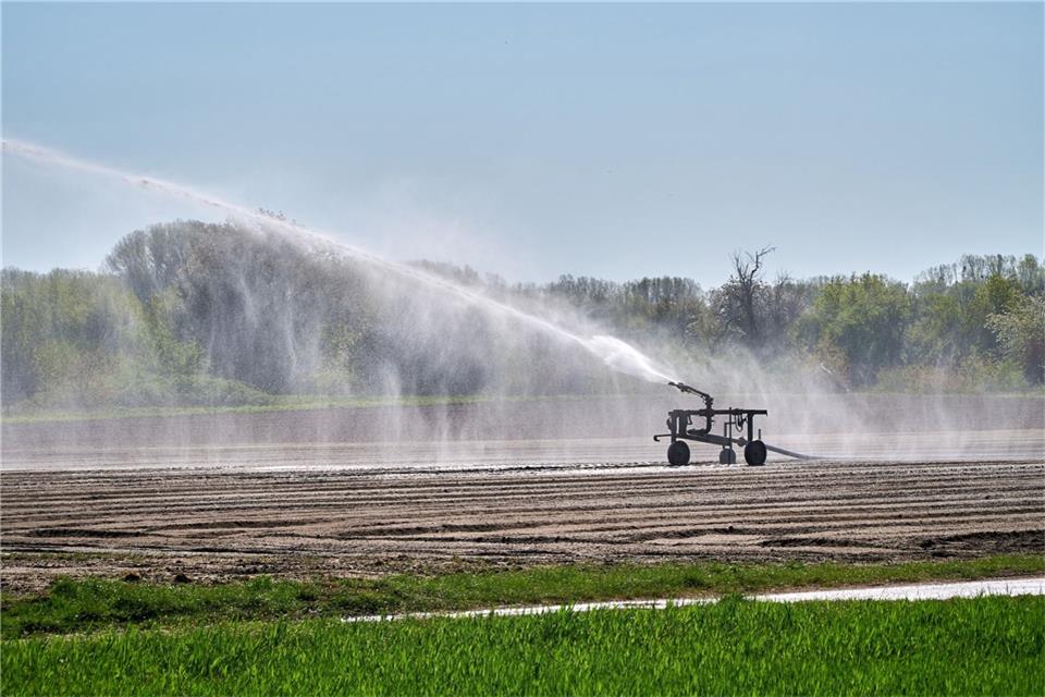 Wassereinsatz in der Landwirtschaft. Bei immer trockeneren Sommern wird das mehr und mehr zum Problem.