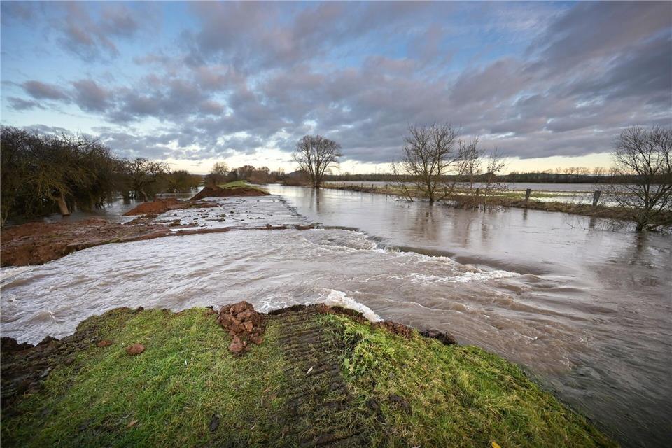 Wassermassen fließen durch die Deichöffnung am Fluss Helme auf die umliegenden Flächen. Um die Hochwassergefahr an der Landesgrenze zwischen Thüringen und Sachsen-Anhalt zu entspannen, war der Deich kontrolliert geöffnet worden. (Archivbild)Heiko Rebsch/dpa