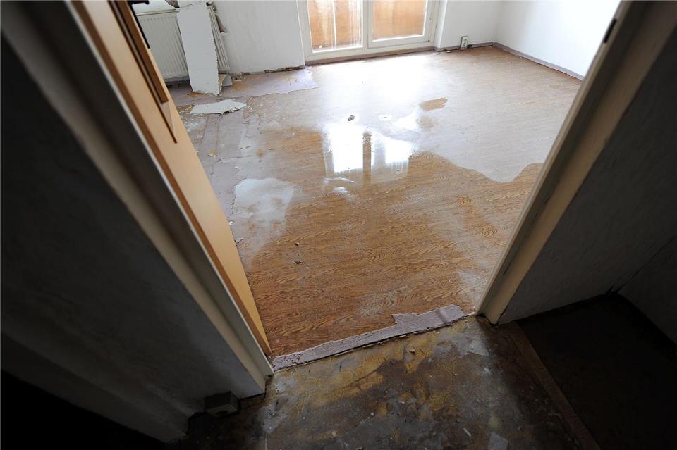 Wasserschaden in der Wohnung? Mieterinnen und Mieter sollten sich jetzt umgehend an ihren Vermieter wenden.Zentralbild/dpa-Zentralbild/dpa