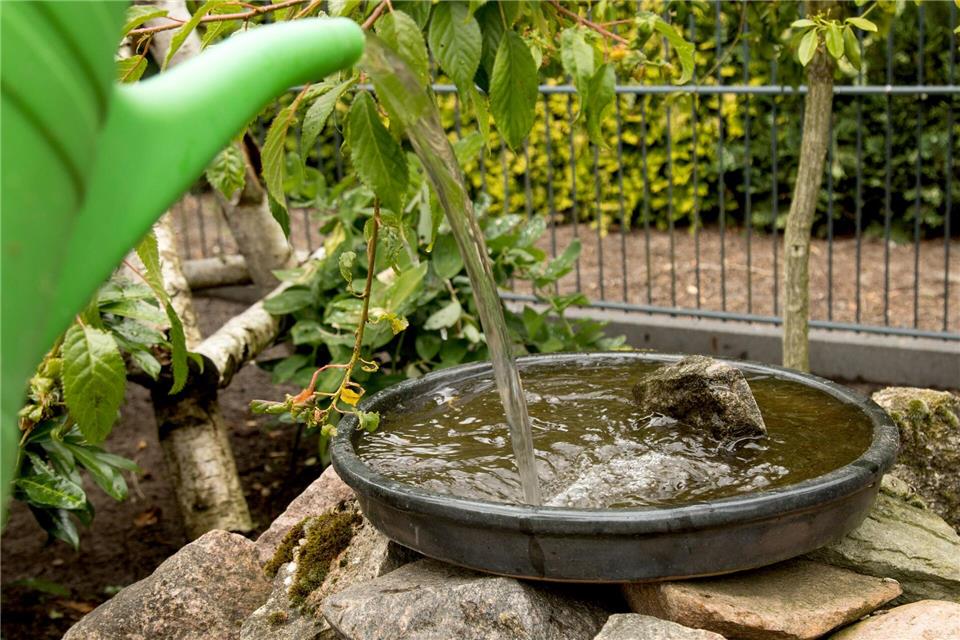 Wasserschale vorbereiten: Nicht nur wir Menschen haben an heißen Tagen besonders viel Durst, sondern auch Tiere. Christin Klose/dpa-tmn
