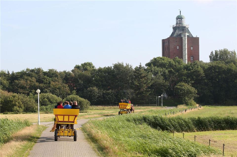 Wattwagen fahren auf der Insel Neuwerk. Der Wehrturm aus dem 14. Jahrhundert im Hintergrund ist eines der ältesten erhaltenen Bauwerke Hamburgs. (Archivbild)picture alliance / dpa