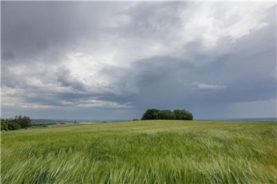 Heißer Sommer, plötzliche Schauer: Was im Südwesten jetzt droht!