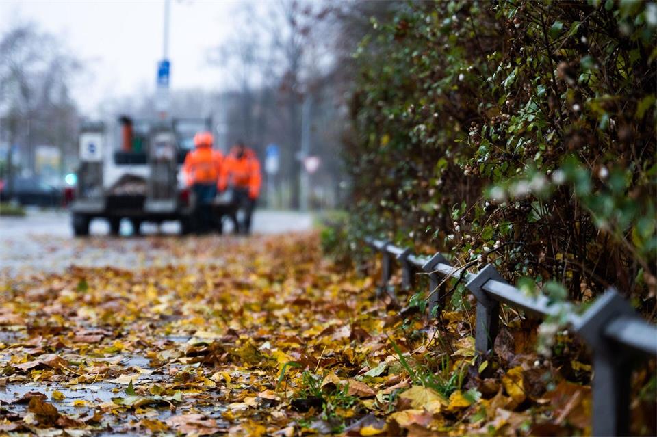 Wechselhaftes Wetter und fallende Temperaturen: Der Herbst hält Einzug in Niedersachsen und Bremen. (Archivbild)Alicia Windzio/dpa