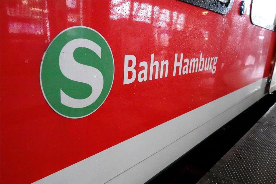 Wegen Bauarbeiten an mehreren Brücken müssen Fahrgäste der Hamburger S-Bahn in den Herbstferien auf zwei Linien in Ersatzbusse umsteigen.Rabea Gruber/dpa
