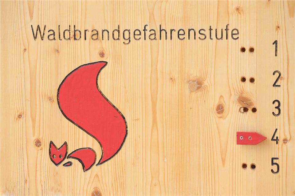 Wegen der Hitze steigt die Gefahr für Waldbrände. (Archivbild)picture alliance/dpa