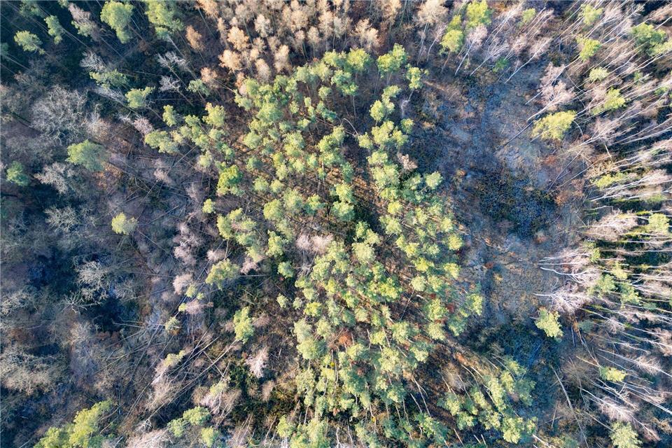 Wegen der Trockenheit steigt die Waldbrandgefahr. (Archivbild)Robert Michael/dpa