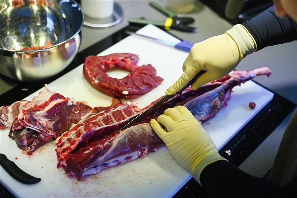Wegen der Verarbeitung des Wildbrets zu Tiefkühl- und Dosenware lässt sich das Fleisch gut lagern und transportieren. (Archivbild)Nicolas Armer/dpa