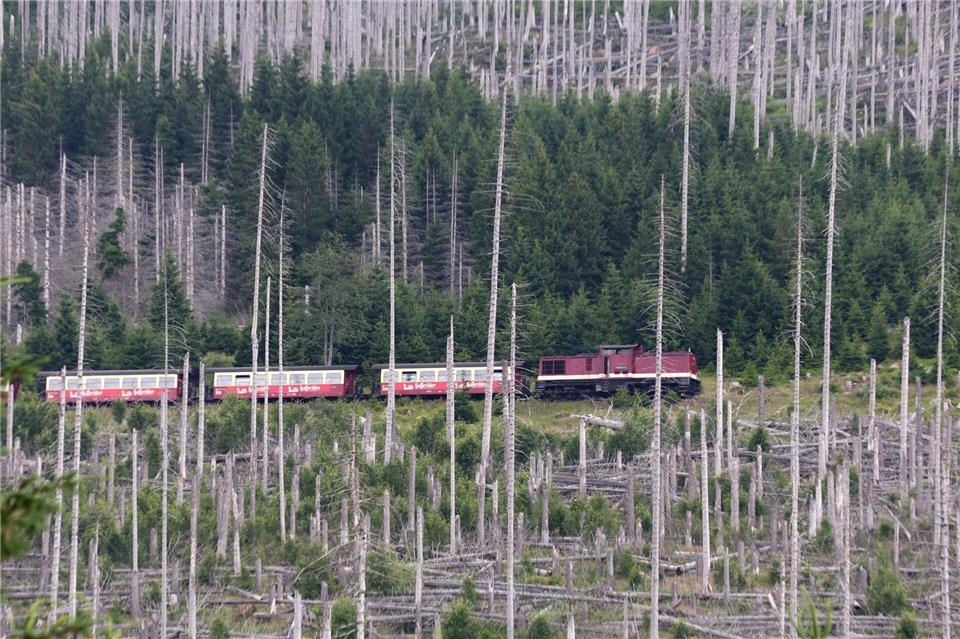 Wegen der Waldbrandgefahr sind jetzt Dieselloks zum Brocken unterwegs. Matthias Bein/dpa