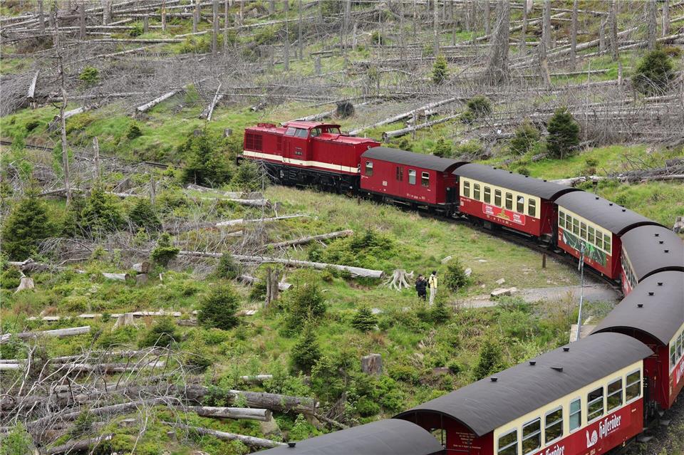 Wegen der hohen Waldbrandgefahr fahren auf der Brockenstrecke vorerst wieder Diesellokomotiven statt Dampfloks. (Archivbild)Matthias Bein/dpa