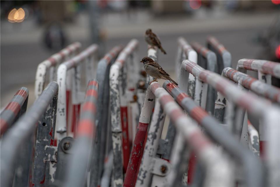 Wegen des Besuchs eines hochrangigen Staatsgastes kündigte die Polizei umfangreiche Sicherheitsmaßnahmen und Absperrungen an. Paul Zinken/dpa