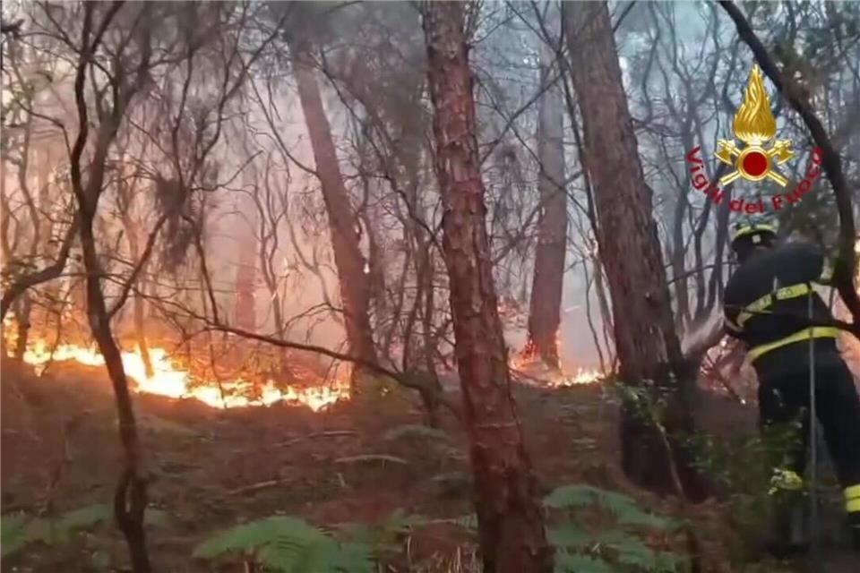 Wegen des Waldbrands haben mehr als 3.500 Menschen ihre Häuser verlassen müssen.-/Vigili del Fuoco/dpa