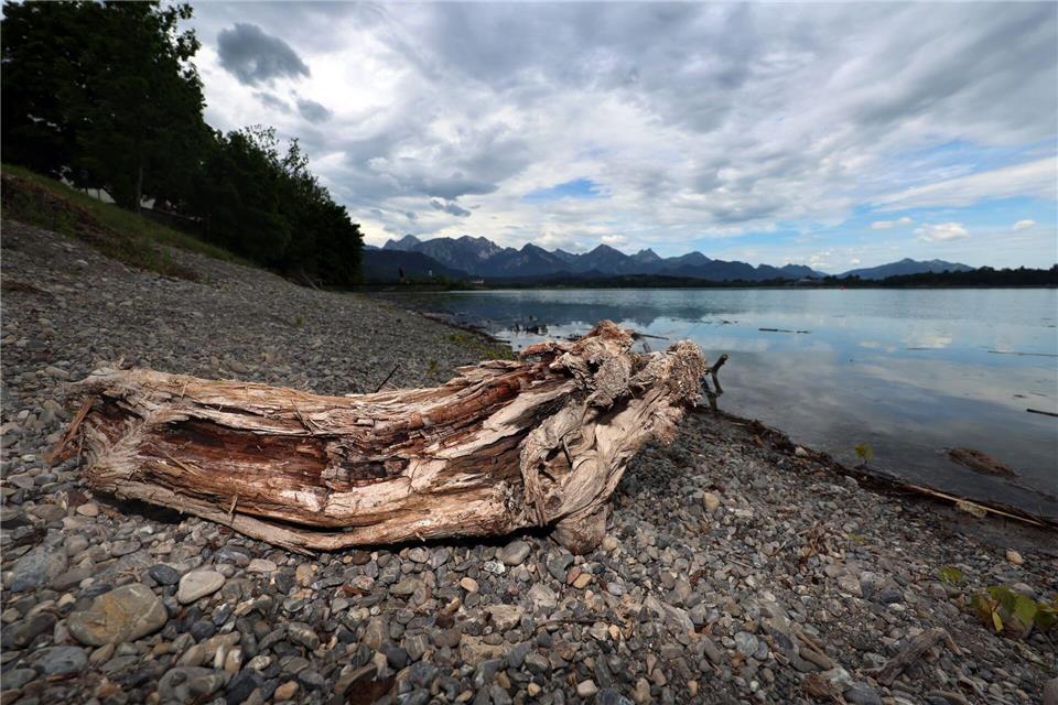 Wegen des lange Zeit niedrigen Wasserstandes musste der Saisonstart der Forggensee-Schifffahrt verschoben werden. Nun startet die Schifffahrt aber wohl mit wenigen Tagen Verzögerung.Karl-Josef Hildenbrand/dpa