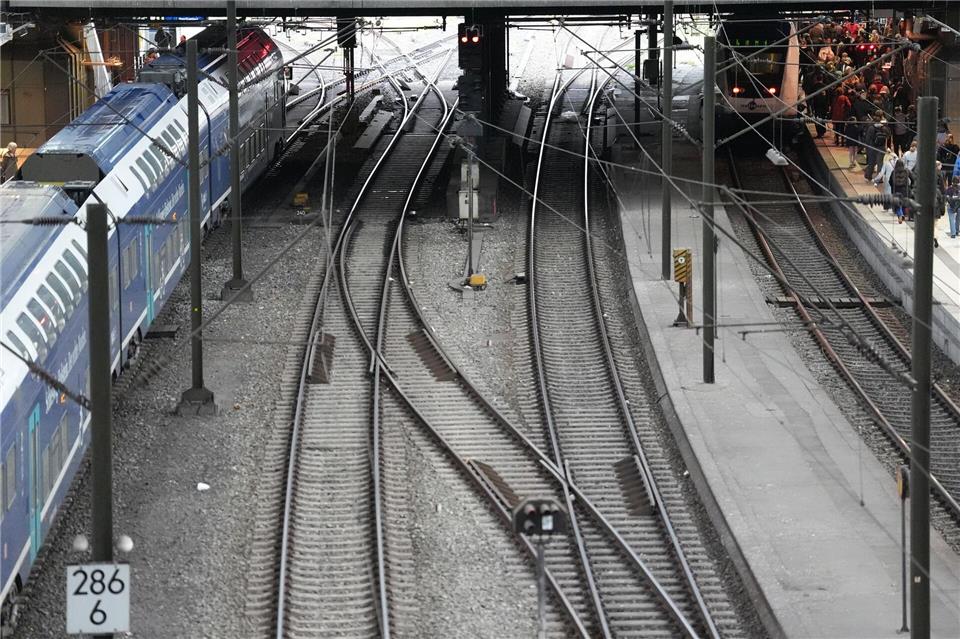 Wegen einer Weichenstörung war der Zugverkehr im Großraum Hamburg stark beeinträchtigt (Symbolbild).Marcus Brandt/dpa