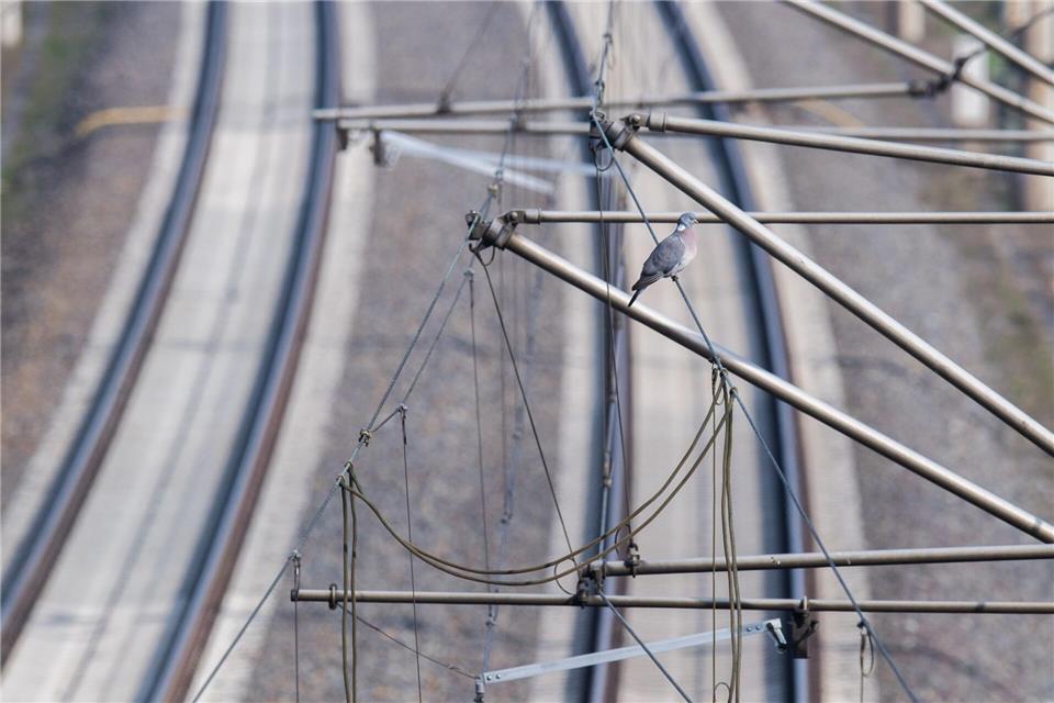 Wegen eines gerissenen Tragseils in der Oberleitung fahren am Ulmer Hauptbahnhof weder Fern- noch Regionalzüge. (Symbolbild)Julian Stratenschulte/dpa