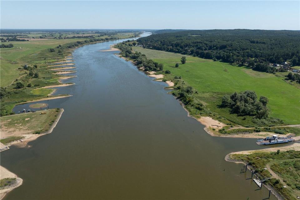 Wegen fehlender Niederschläge führt die Elbe Niedrigwasser. (Archivbild)A4258 Philipp Schulze/dpa