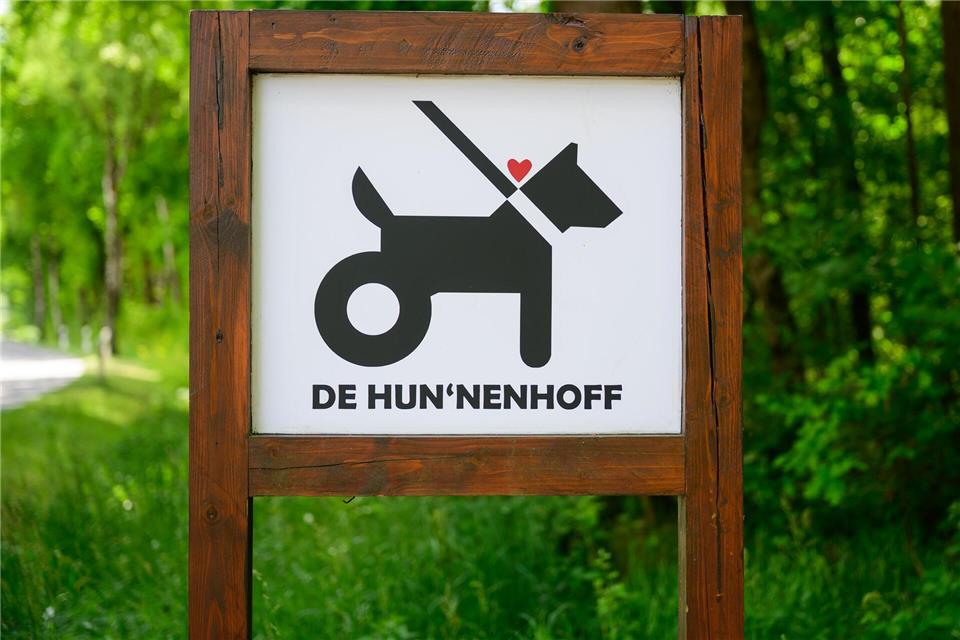 Wegen fehlender Spenden kämpft der Gnadenhof um das Überleben.Philipp Schulze/dpa