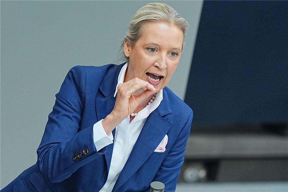 Weidel rechnet mit der Regierung generell ab.Michael Kappeler/dpa