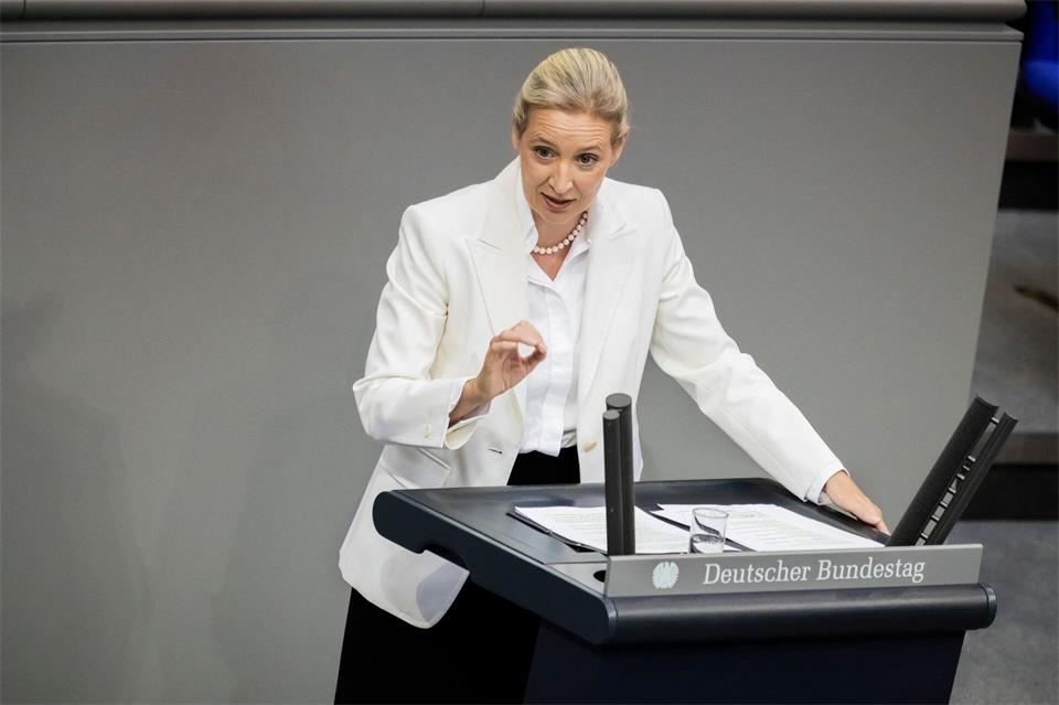 Weidel sieht Schwarz-Rot am Ende.Christoph Soeder/dpa