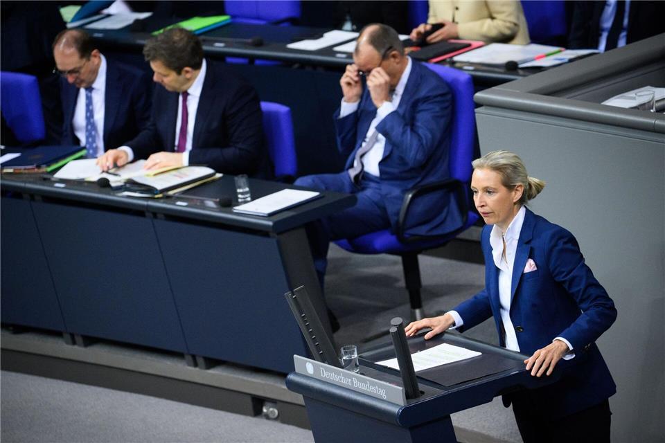 Weidel will Außenpolitik an nationalen Interessen ausrichten.Bernd von Jutrczenka/dpa