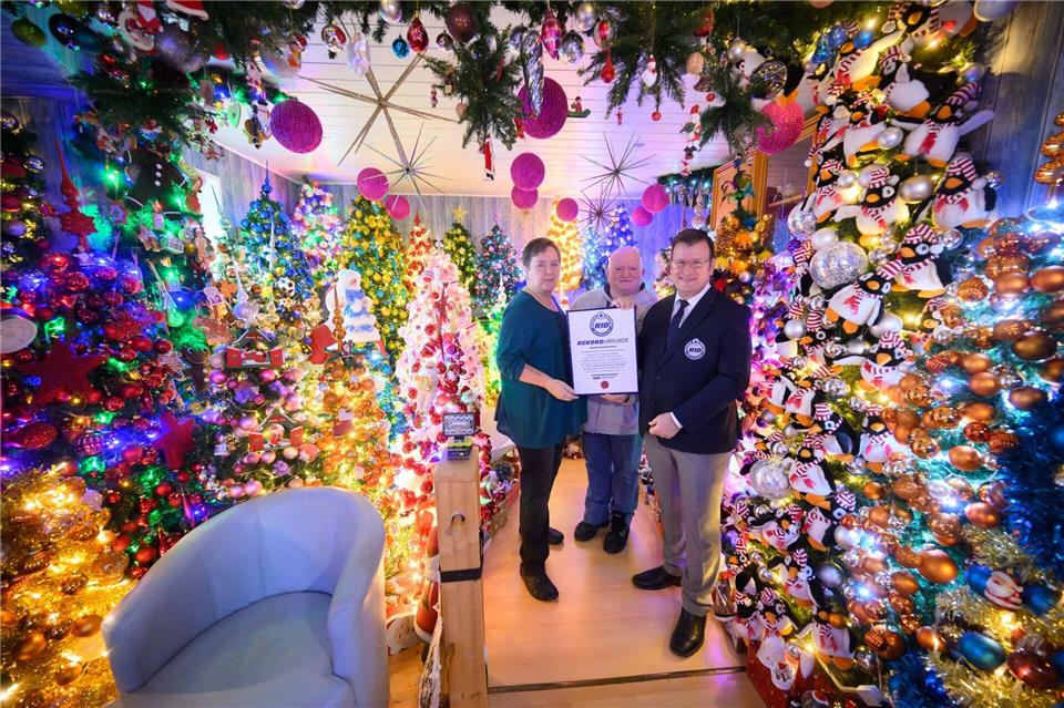Weltrekordversuch geglückt: 600 Weihnachtsbäume in Wohnung Weihnachtsbäume über Weihnachtsbäume schmücken ein Haus in Niedersachsen (Foto aktuell). Julian Stratenschulte/dpa