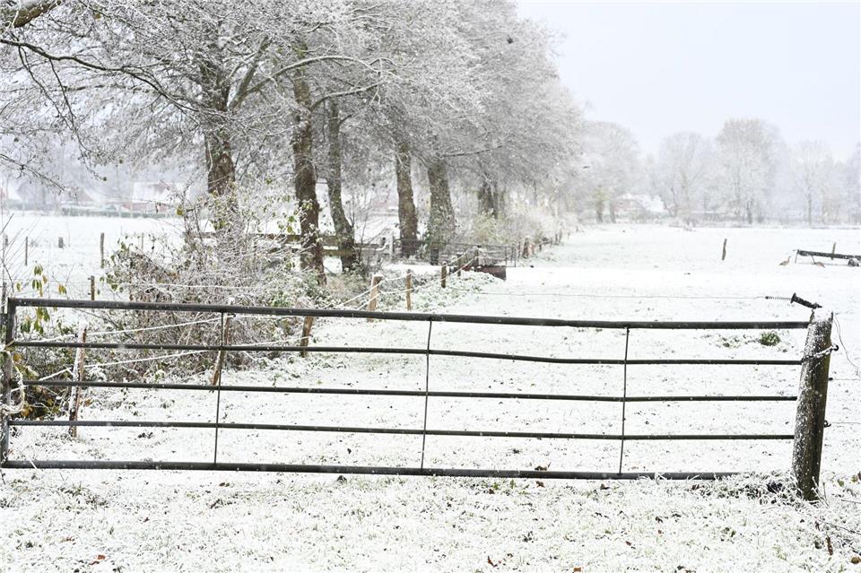 Weiteren Schnee sagt der Deutsche Wetterdienst frühestens am Sonntag vorher.Lars Penning/dpa