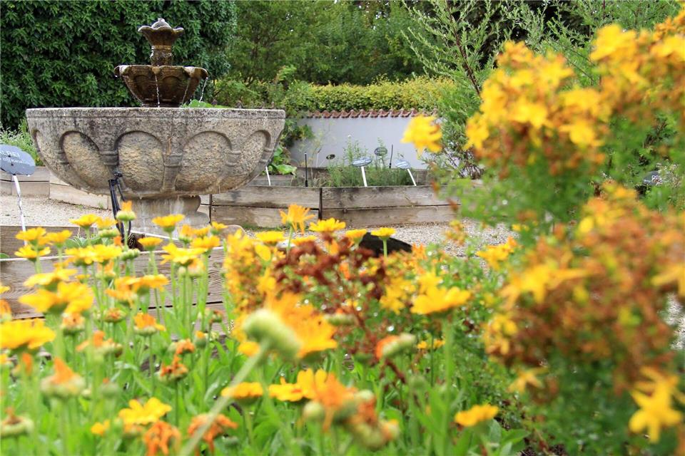 Welterbe-Gärten in Rheinland-Pfalz und Hessen: Auch der Hildegard von Bingen-Heilkräutergarten in Bingen zählt zu dem Verbund.Bernd F. Meier/dpa-tmn