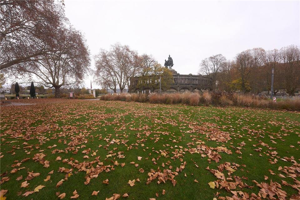 Wenig winterlich beginnt der meterologische Winter in Rheinland-Pfalz und dem Saarland. (Symbolbild) Thomas Frey/dpa