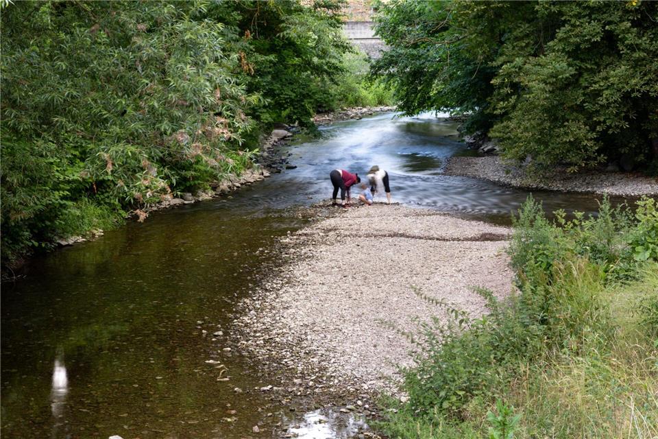 Weniger Wasser aus der Schmalwasser-Talsperre für den Fluss Apfelstädt. (Archivbild)Michael Reichel/dpa