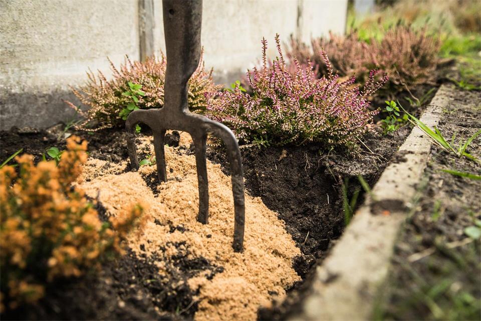 Weniger ist mehr: Umgraben ist oft gar nicht nötig, um den Gartenboden auf die nächste Saison vorzubereiten.picture alliance / dpa-tmn