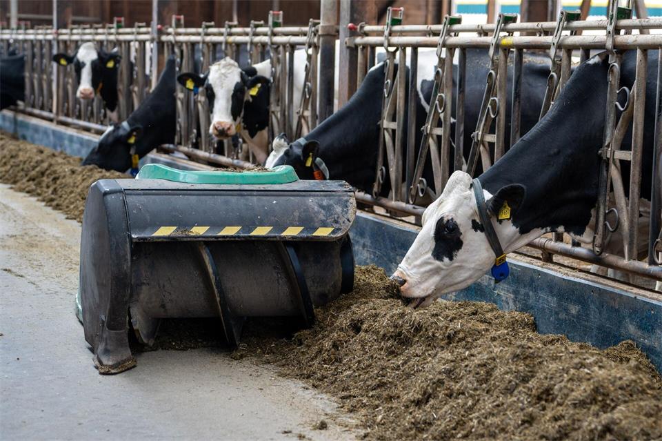 Wenn 2027 schon das Frühjahr trocken werde, könnte es zu massiven Problemen kommen, sagt Landwirt Fiedler (Archivbild)Harald Tittel/dpa