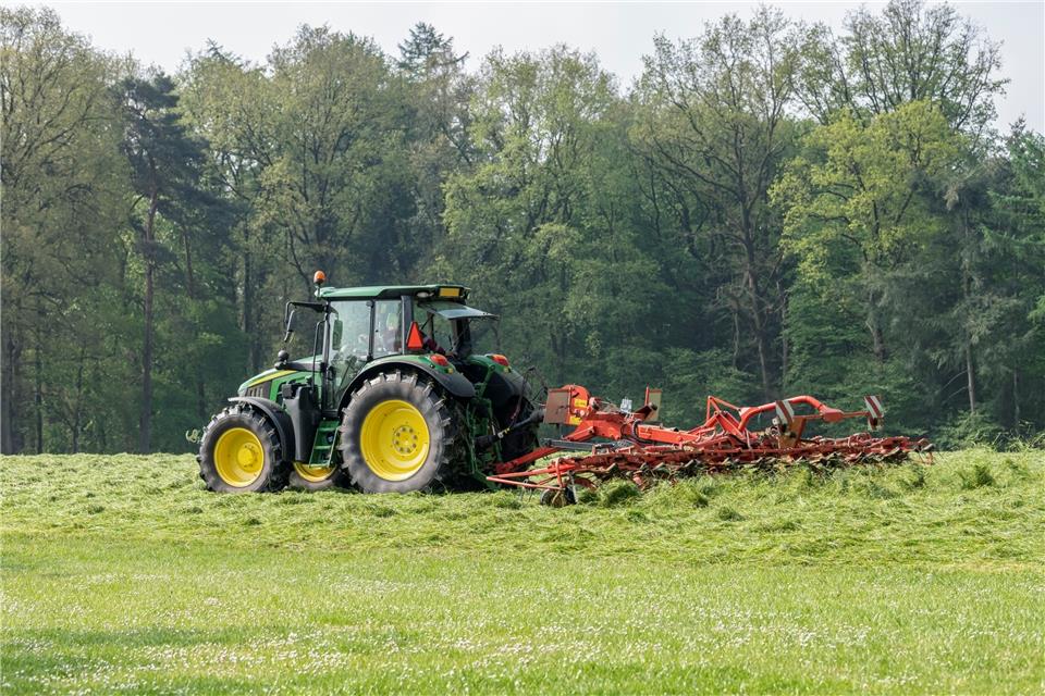 Wenn das Wetter in der nächsten Woche trockener wird, können die Landwirte mit der Ernte von Heu und Getreide beginnen.